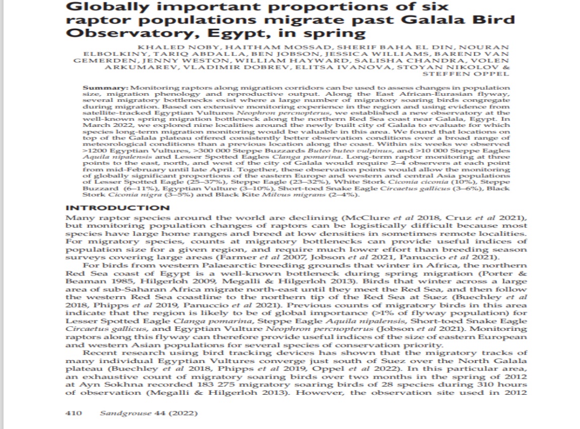 Globally important proportions of six raptor populations migrate past Galala Bird  Observatory, Egypt, in spring Paper